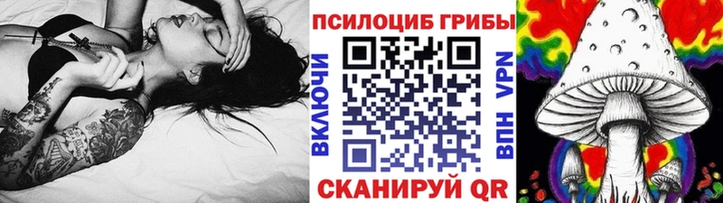 Купить  Ирбит  Галлюциногенные грибы Psilocybine cubensis 